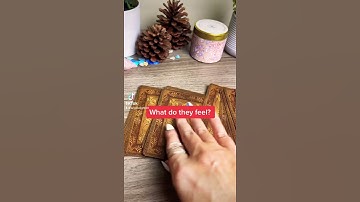 💕WHAT DO THEY FEEL?💕#oracle reading / Creative mind tarot #Shorts #timeless   @Angela Light