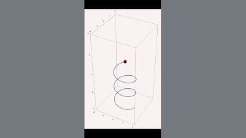 Circularly Polarized Beetles?!