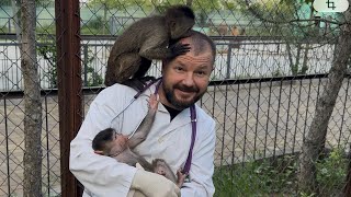 Стрижка когтей волчатам. Финик и Николь ходуном по моей голове. Часть 2