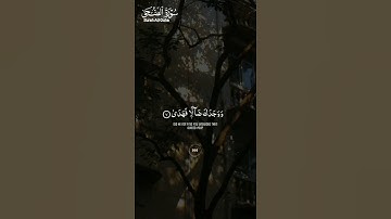 #سورة_الضحى ||حالات واتس قرآن ||القارئ#محمد_صديق_المنشاوي #تلاوة_هادئة #المصحف
