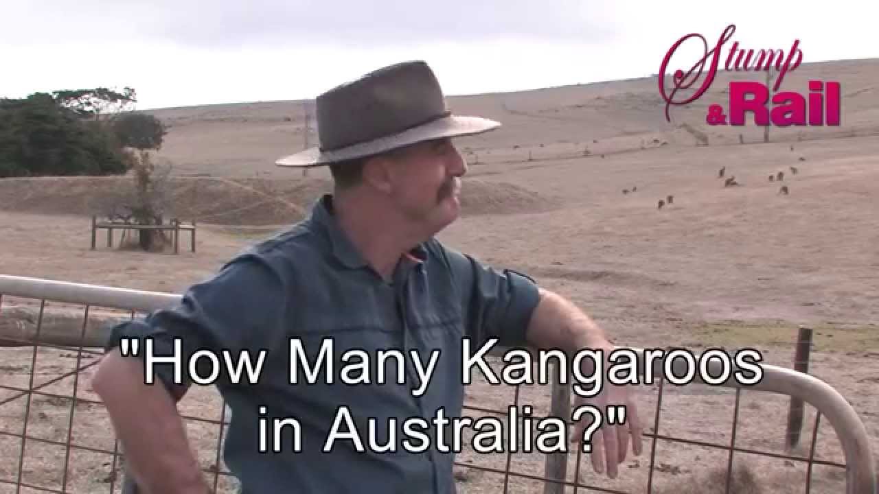 Quiz Country - YouTube