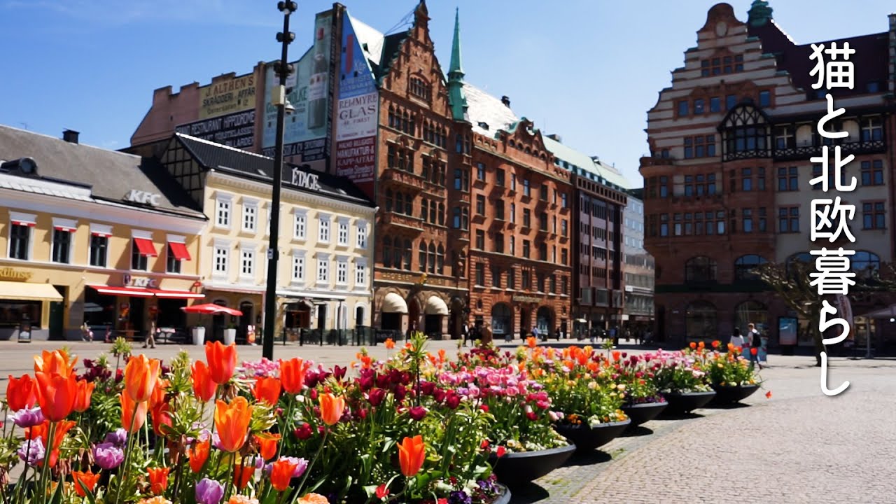 Жизнь в Скандинавии 🌿 Когда я скучаю по Японии, я ценю время, чтобы почувствовать Японию в Швеции.