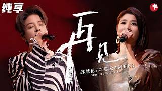【纯享】苏慧伦Amber版《再见》听完后劲太大了！牵手对唱全场泪目！#刘逸云 #我们的歌5 clip