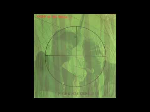 P-Kid — P-Kid & Zulu Gremlin - Hardcore B-Boyz feat. Mr. Wiggles