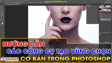 Hướng Dẫn Các Công Cụ Tạo Vùng Chọn Cơ Bản Trong Photoshop 🔴 MrTriet Photoshop Tutorials