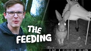 Feeding CREEPY Rabbits - Save the Squirrels Initiative