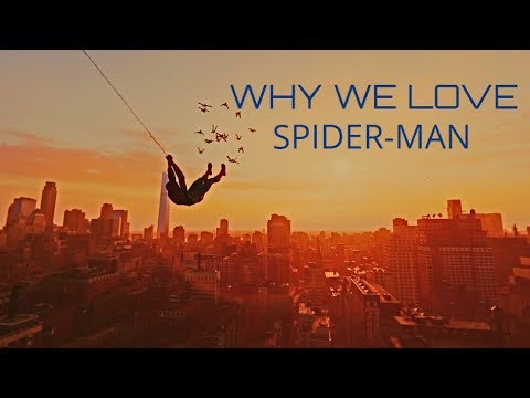 essay of spider man