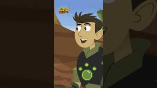 Ative Os Poderes Do Roadrunner Aventuras Com Os Kratts