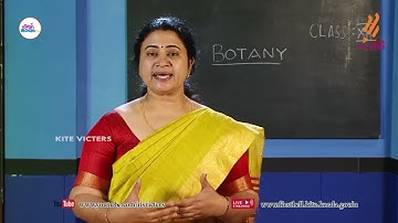 First Bell 2.0 Plus two Botany Class 12