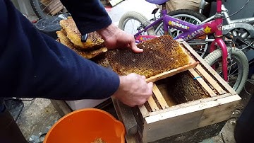 20160320 Setting up a Warré bait hive