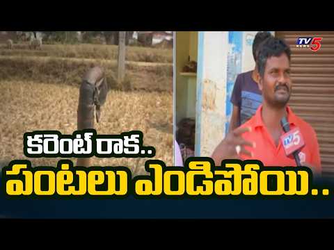 మహబూబ్ నగర్ లో కరెంట్ కోతలు..Power Supply Issues In Hanwada MahabubNagar | TV5 NEWS - TV5NEWS