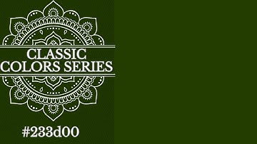 [DARK MOSS GREEN] -- 4K Solid Color Background (1 Hour Loop) Digital Visual Display