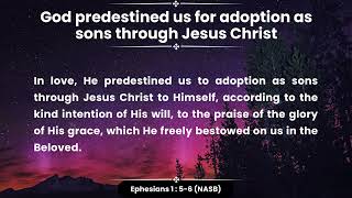 God predestined us for adoption as sons through Jesus Christ- Ephesians 1 : 5-6 (NASB)