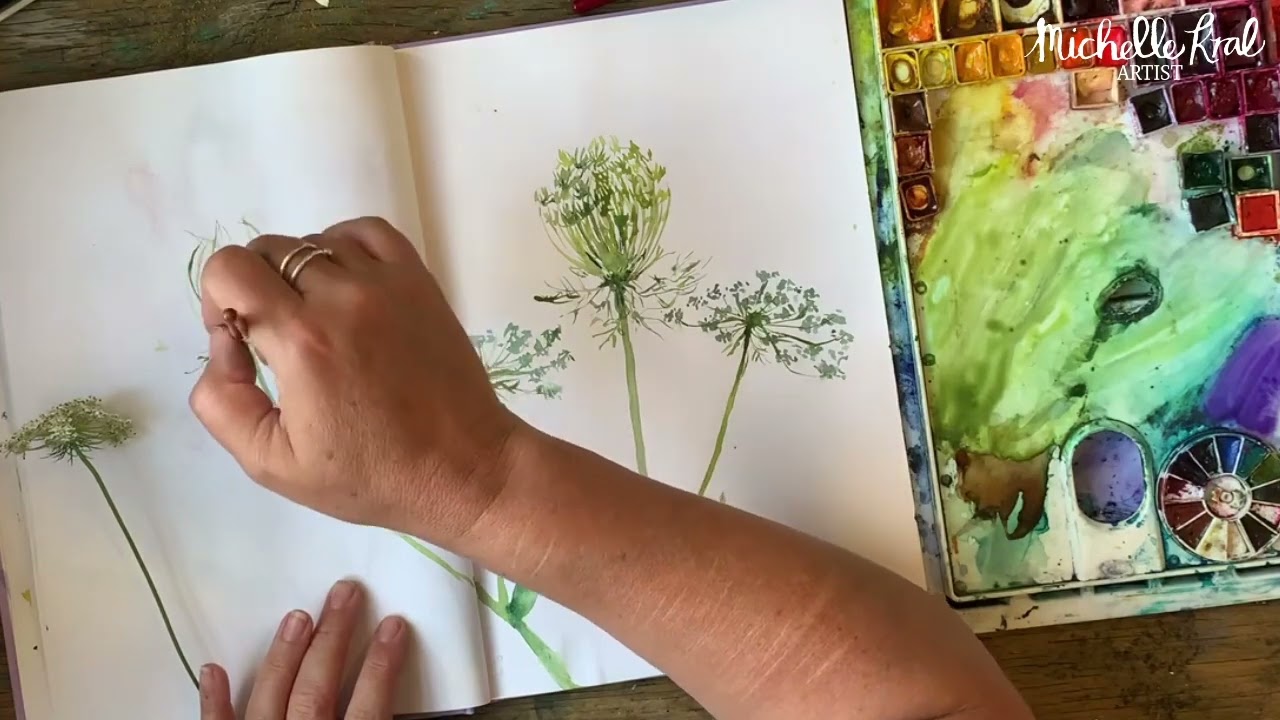 QUEEN ANN'S LACE IN WATERCOLOUR painting in my sketchbook, for full live see description