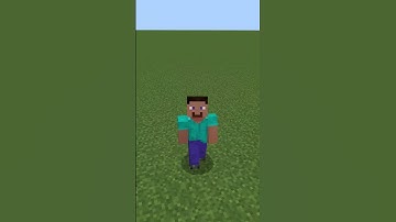 Day one of breaking one Minecraft block per follower. #viral #minecraft