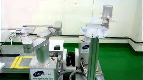 130313_Wafer Transfer Robot For Shanghai 2013
