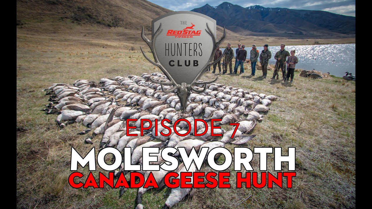 Red Stag Timber Hunters Club - EP 6 Molesworth Canada Geese Hunt Intro
