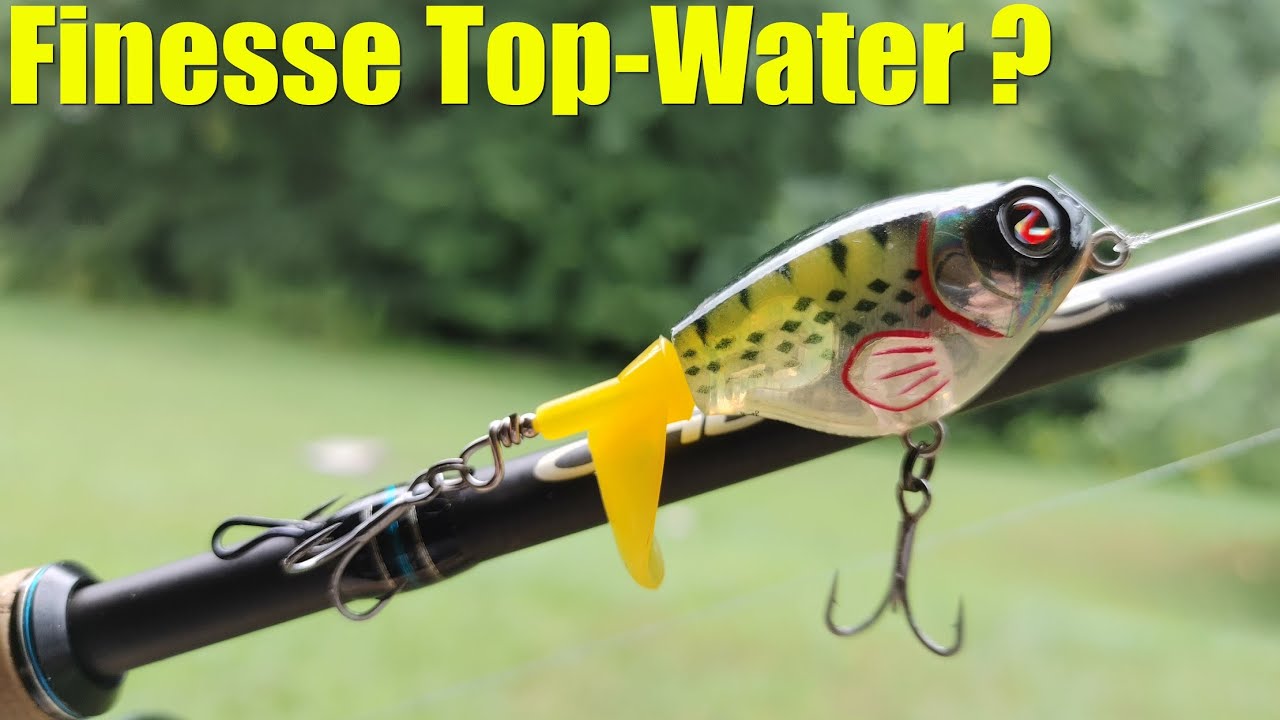 Finesse TOP-WATER???: The WHOPPER PLOPPER 60 