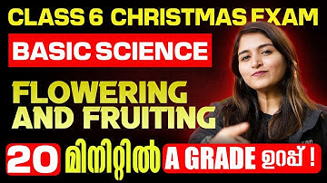 Class 6 Basic Science Christmas Exam | Flowering and Fruiting | A Grade in 15 Min | Exam Winner