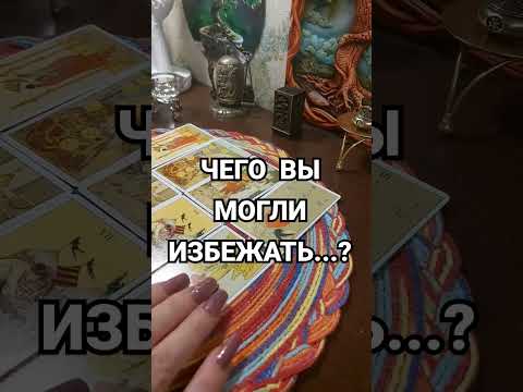 23 октября 2024 г.