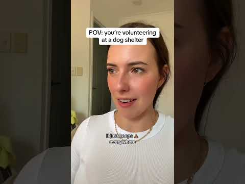 POV: You Volunteer