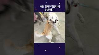 내가 아는 소녀 돌려내!