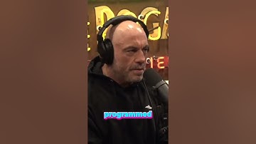 Unleashing the Hidden Power of AI: Surprising Discoveries in Amazon Reviews