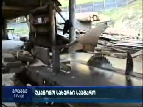 MOE: უკანონოდ მოქმედი სახერხი საამქრო დაილუქა