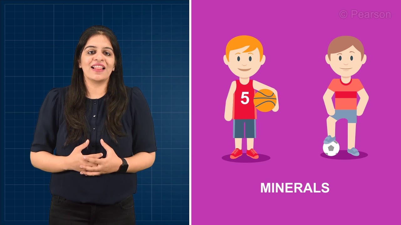 components of food( EDUCATIONAL VIDEO)