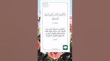 سورة البقرة أية (٤٤)(أتأمرون الناس بالبر وتنسون أنفسكم..)