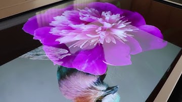 GhosT-OLED case study in front of LCD combined with Tangible Object Recognition