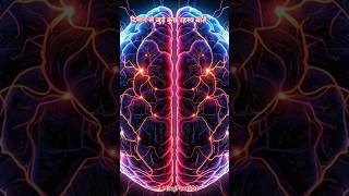 Amazing Facts about Brain | Facts about Human Brain | Amazing Facts | #shorts#facts