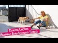 Rettung eines Straßenhundes - Claudia Ludwig in der Türkei