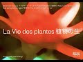 第8回「哲学の夕べ」：植物の生         Nuit de la philo 2020 : La Vie des plantes