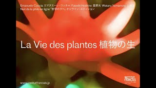 第8回「哲学の夕べ」：植物の生         Nuit de la philo 2020 : La Vie des plantes