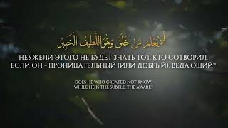 Сура МУЛЬК 14 аят ×10 раз