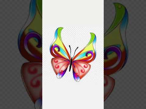 ظهور الفراشه او دخوله لمكانك بس تشوفه قول استقبل كل الاخبار والفرص الجميله طاقه