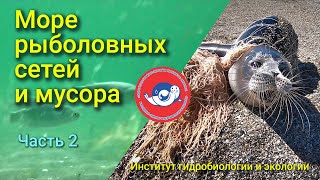 МОРЕ РЫБОЛОВНЫХ СЕТЕЙ И МУСОРА. Часть 2