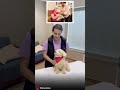 سگهای رباتیک Robotic Dogs دمنشیا الزایمر تجهیزات بیمارستانی سگ 