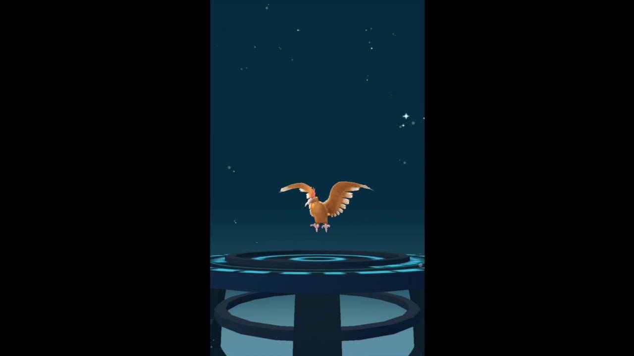 オニスズメ 進化 イメージポケモンコレクション