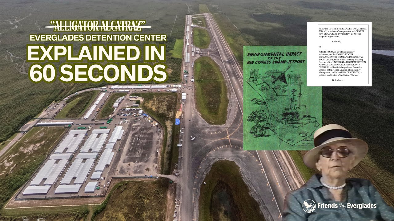 Our POV: Alligator Alcatraz explained in 60 seconds