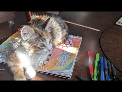 Searching For Something Original Song Acoustic