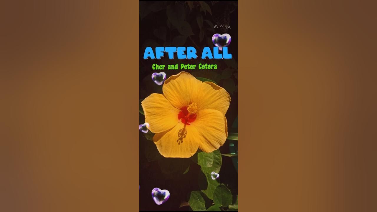 Cher and peter cetera after all song youtube