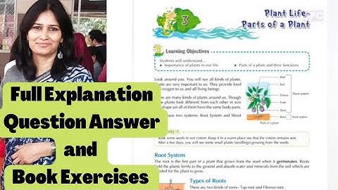 Plant Life - Parts of Plant | EVS Chapter 3 | Class 4 | APS | Full Explanation | Question Answer |