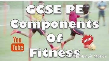 GCSE PE 9-1 Components of Fitness Homework or Starter Task