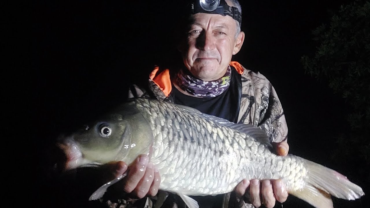 48. KZN Carp fishing, Blue Gum is a winner. YouTube