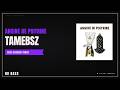 Angine de Poitrine - Tamebsz | Bass Backing Track