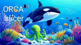 OrcaSlicer device connection to OctoPrint or Klipper screenshot 4