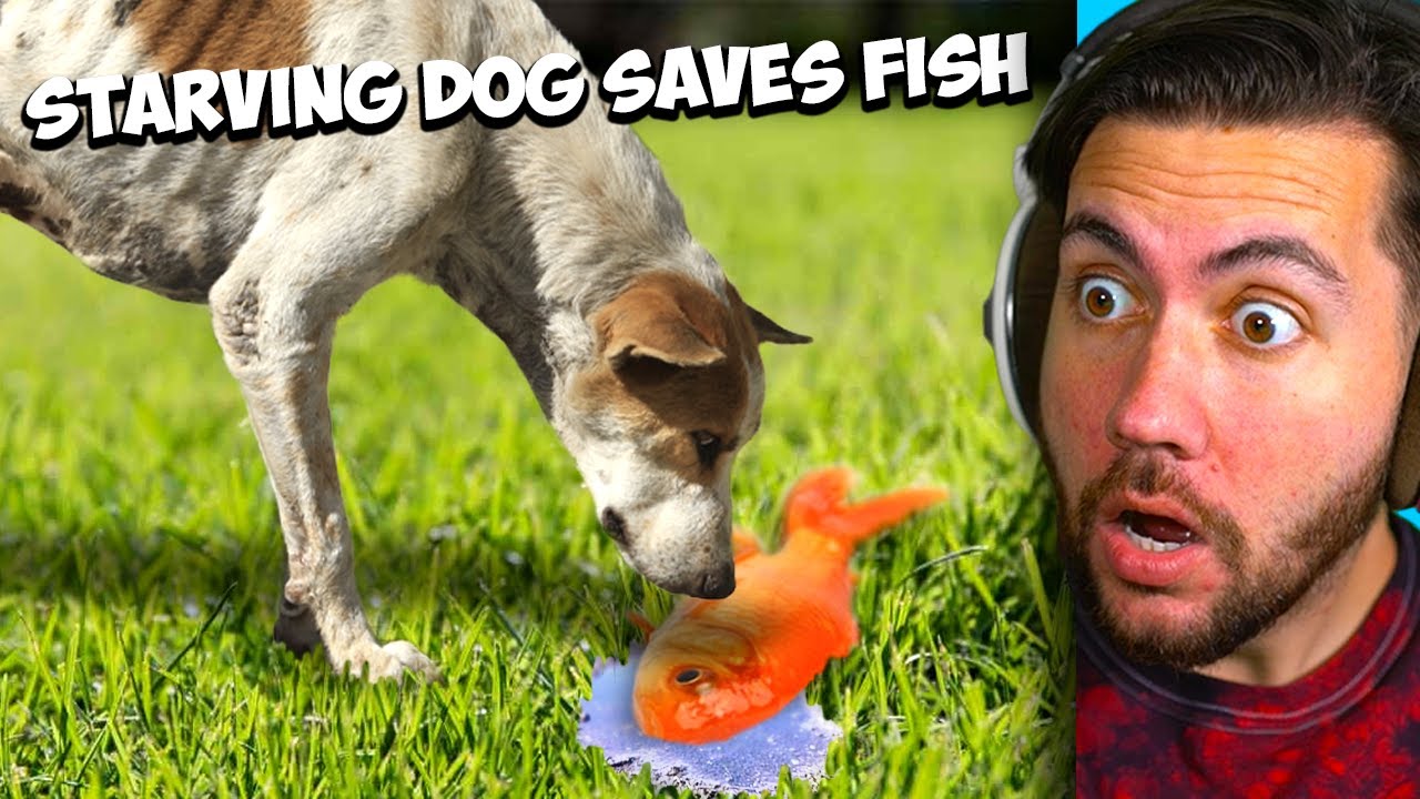 I Bet This Video Will Make You Cry