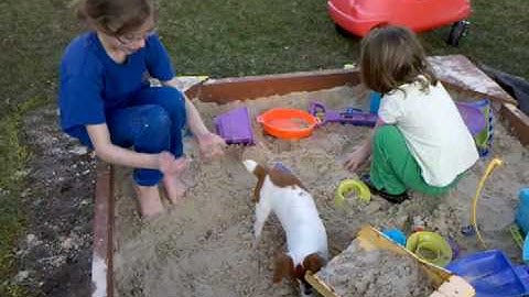 Digging in the sandbox